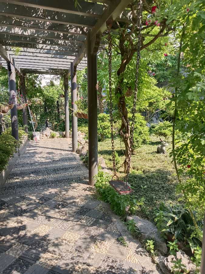 心尘文艺 第1300期