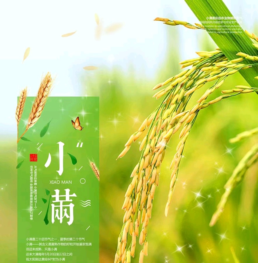 【荣耀中国】七绝•月季花（通韵）李建民（保定）（图3）