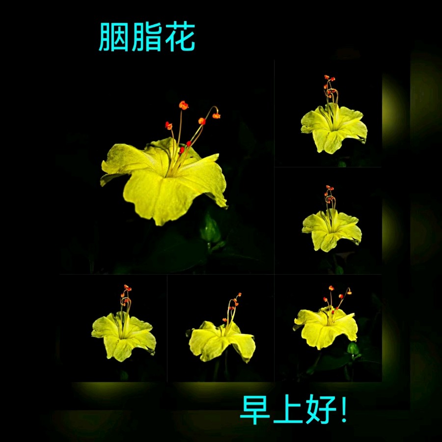 联机全球发布马洪武作品欣赏（图21）