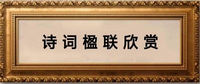 薛有毅芒种诗联欣赏/中华诗艺社黑龙江分社推荐(图4)