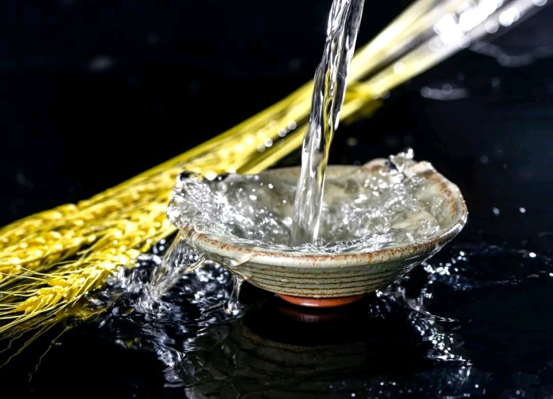 七绝～醉饮（通韵）文／卫水居士 河北（图3）