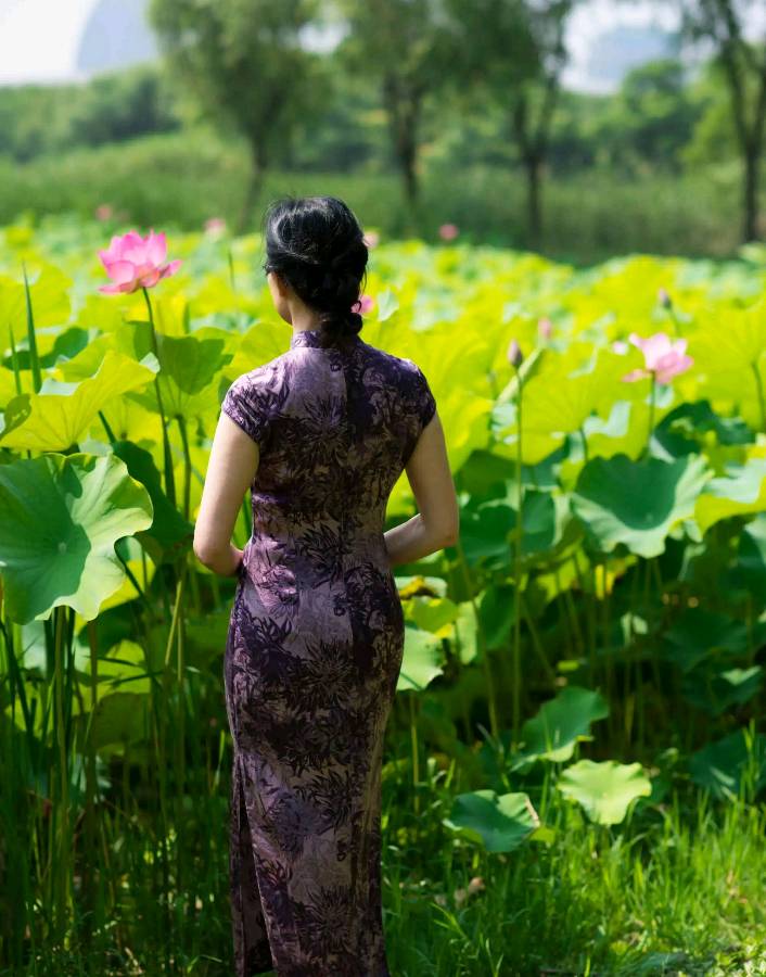 请欣赏四位金牌主播倾情朗诵张金良老师的作品《荷塘姑娘》外四首 编辑//海纳百川【中国长江文学社】有声文学平台【第8979期】（图3）