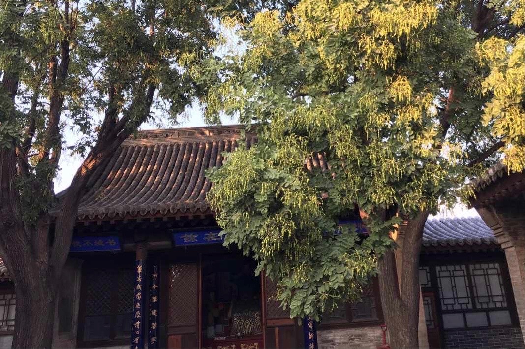 【新诗大观】结界||文/邹水平