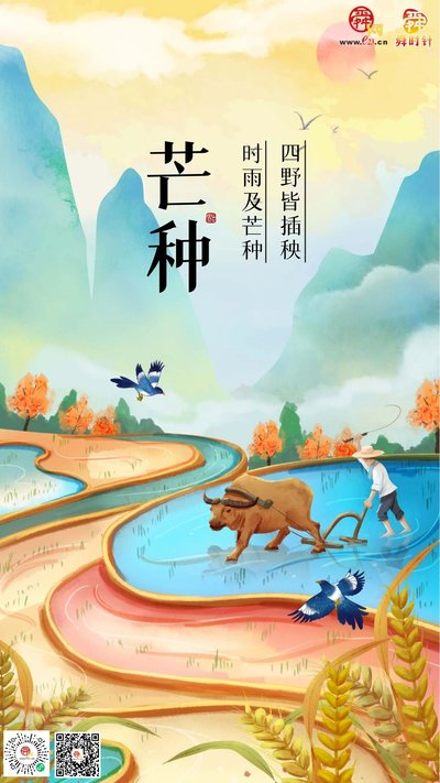 【滨州头条(端午)美文专集(四)】七绝•端午记事(新韵)文/郑占荣(图5)