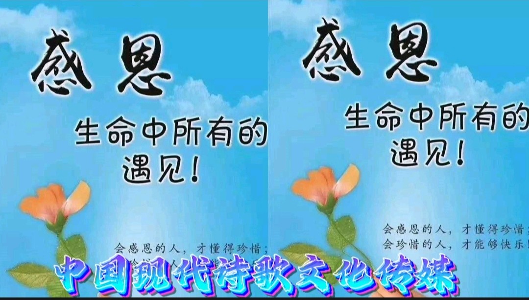 《父亲的爱》作者:龙游天下 诵读:鲁冰花 [中国现代诗歌文化传媒]（图12）