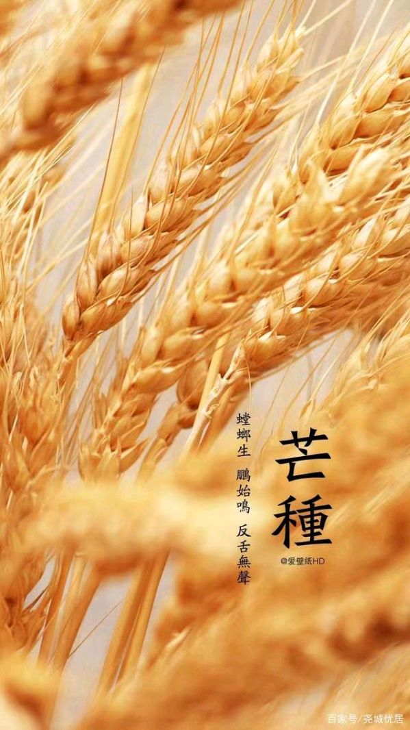 【荣耀中国】汪转户老师诗词欣赏（图6）