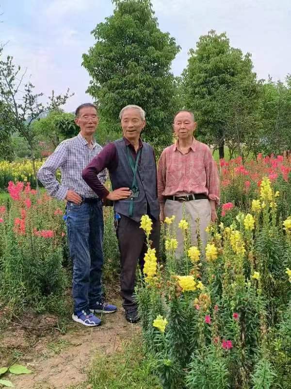 七律-同学情（外一首）诗||李大德（图13）