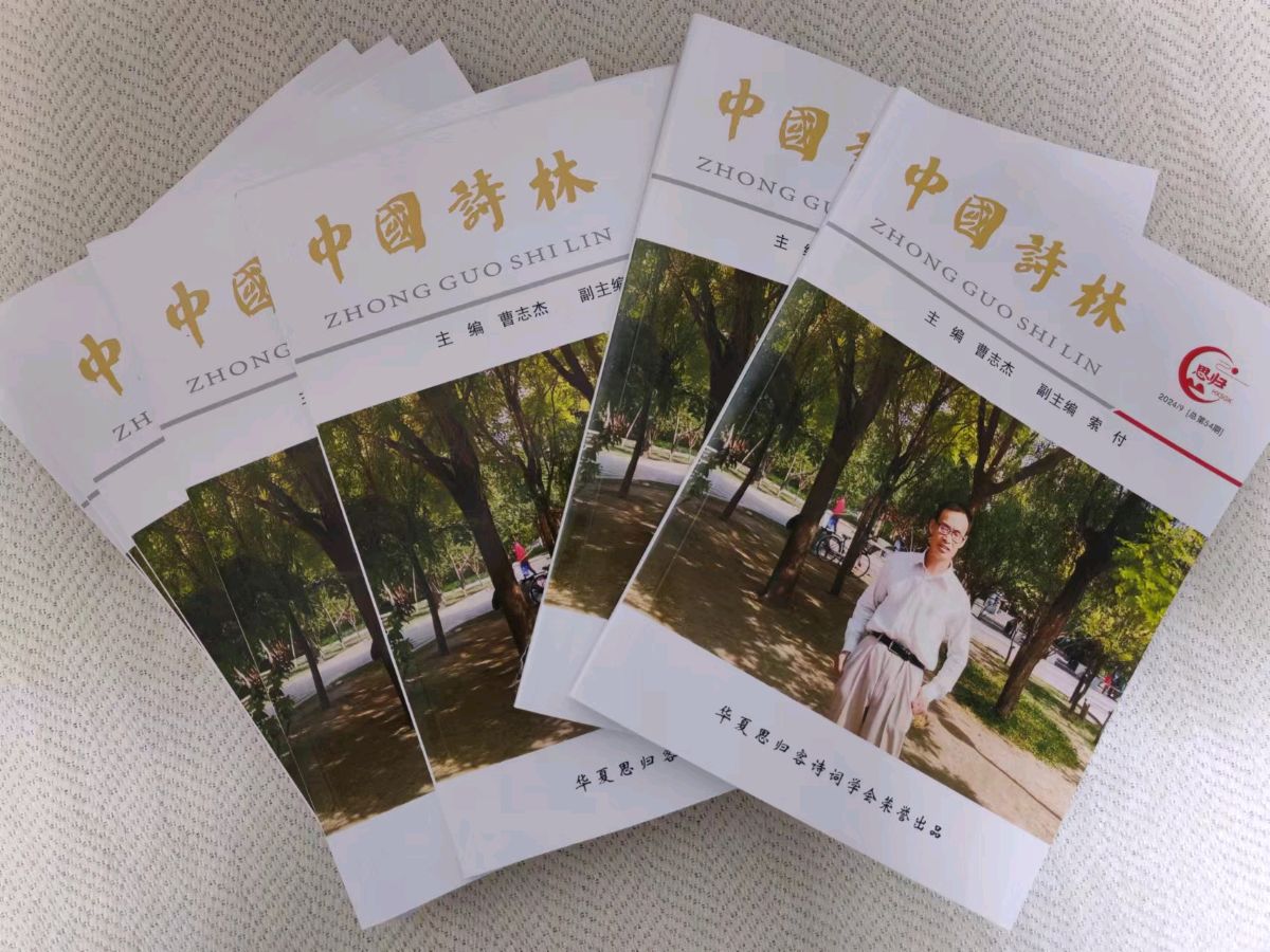 公告！喜讯！快来看看有没有你……思归客系列丛书《中国诗林》开始快递，《诗耕》马上截稿。请朋友们踊跃投稿支持思归客！（图3）
