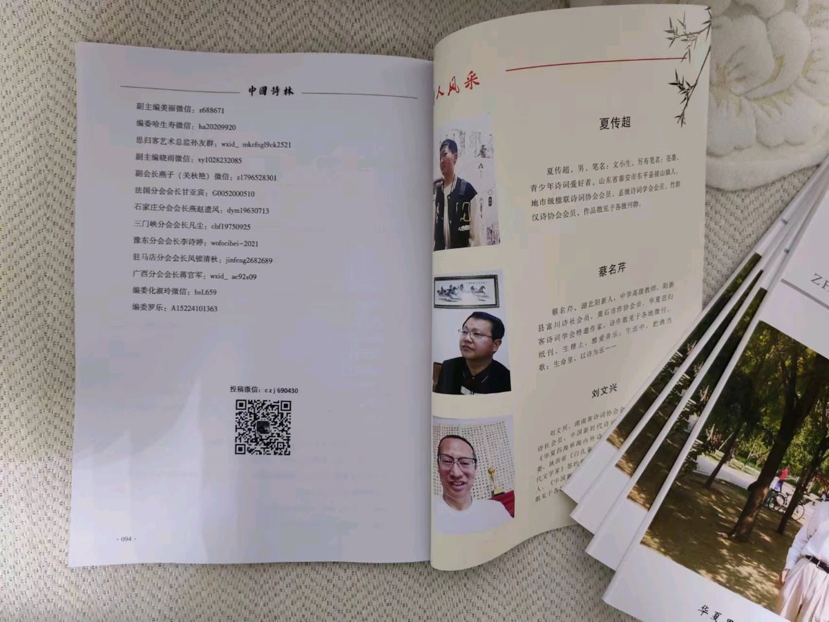 公告！喜讯！快来看看有没有你……思归客系列丛书《中国诗林》开始快递，《诗耕》马上截稿。请朋友们踊跃投稿支持思归客！（图5）