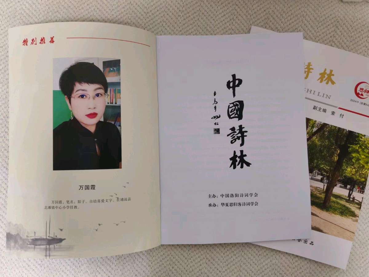 公告！喜讯！快来看看有没有你……思归客系列丛书《中国诗林》开始快递，《诗耕》马上截稿。请朋友们踊跃投稿支持思归客！
