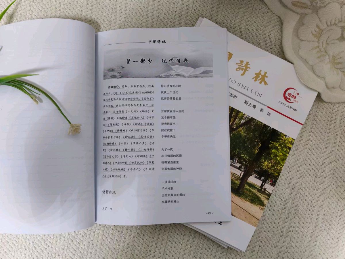 公告！喜讯！快来看看有没有你……思归客系列丛书《中国诗林》开始快递，《诗耕》马上截稿。请朋友们踊跃投稿支持思归客！（图4）