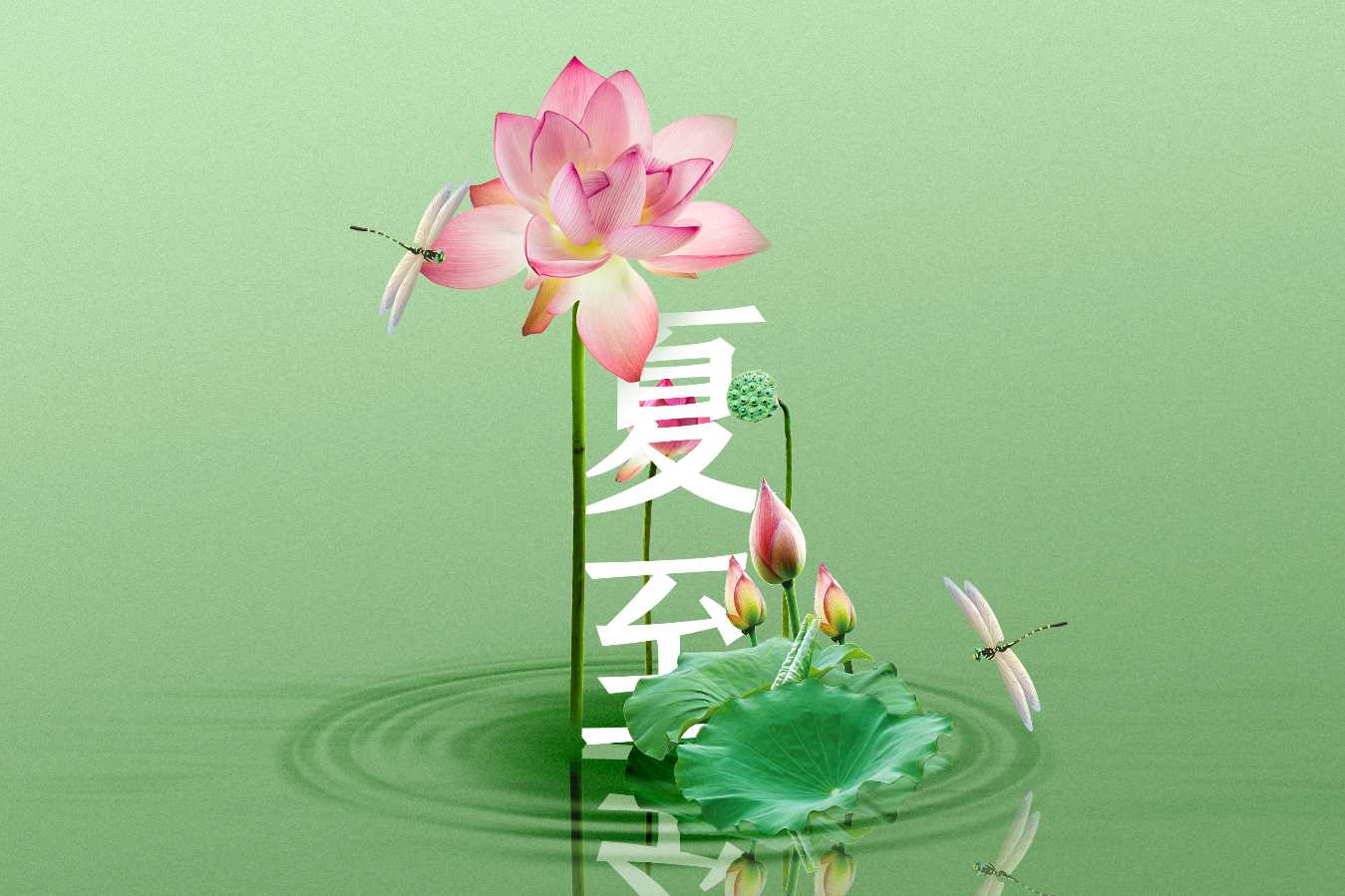 【明心文学】蔡全花/临江仙三首 主播/薇薇（图2）