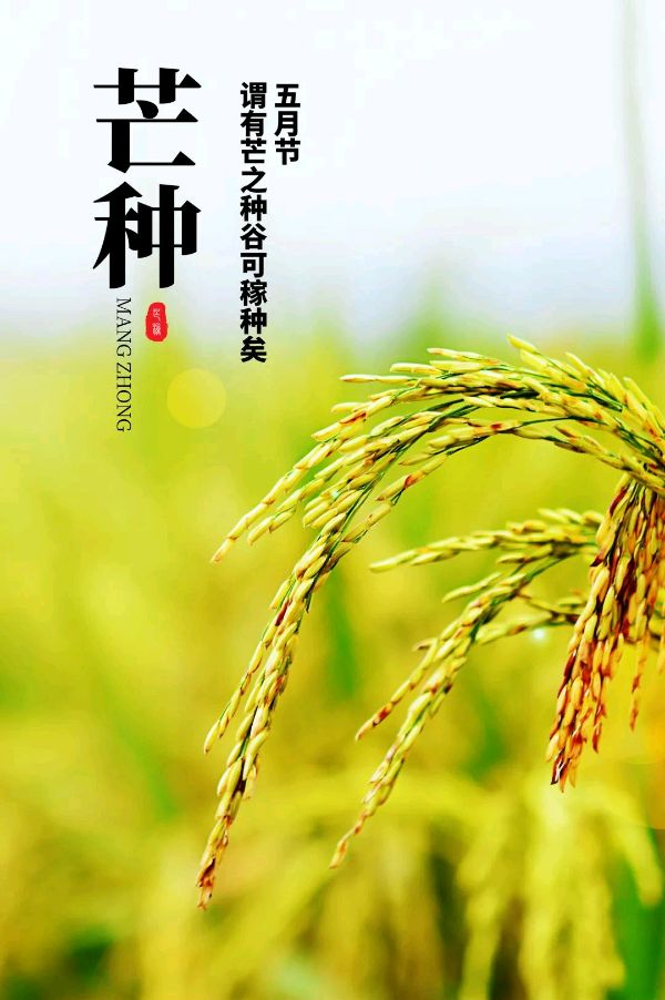 【神州源流诗苑】第1186期优秀近体诗《都市头条》周刊(图4)