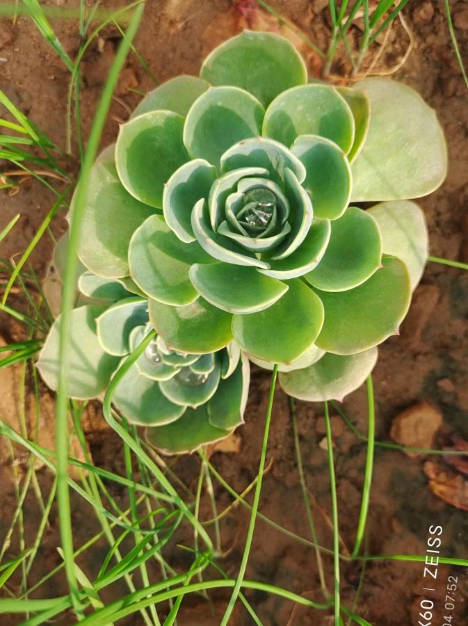 【荣耀中国】——周刊第88期(图5)