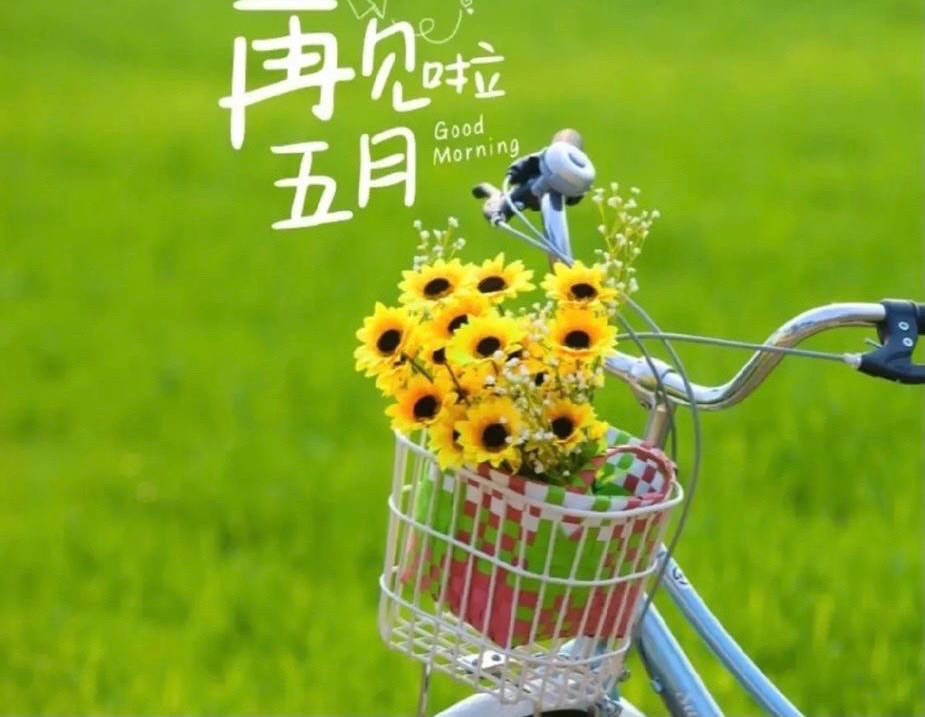 【新诗大观】一场不动声色的告别||文/邵峰||诵/文嘉