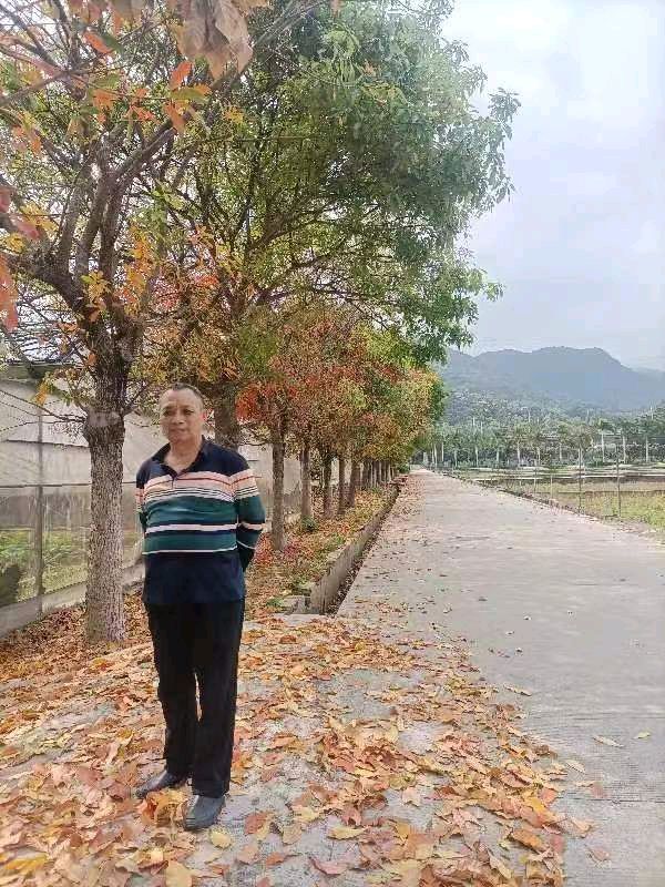 《许峰诗歌研究院》《名家名篇》《老人 》 文/曾春光【总第102期】（图5）