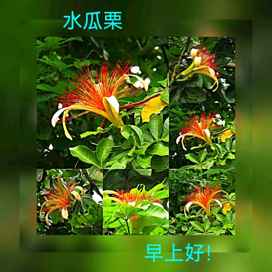 联机全球发布马洪武作品欣赏（图14）
