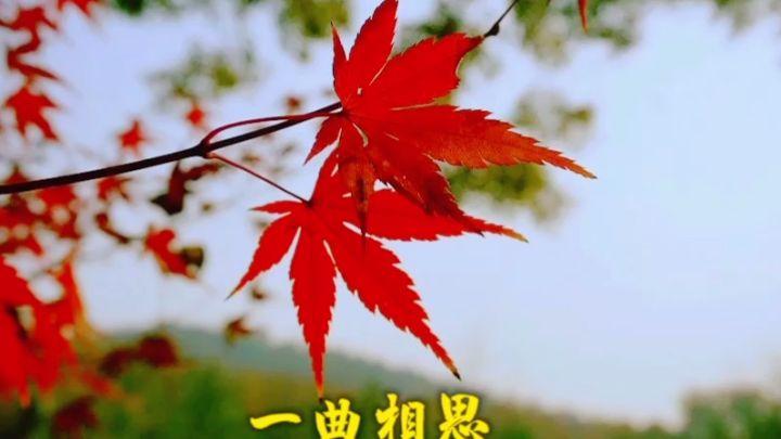 《亚洲诗艺》林金尧颂先贤 刘公光第（图11）