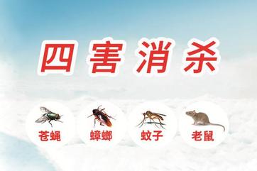 怀念六一 作者：胡长有 朗诵：源源（图4）