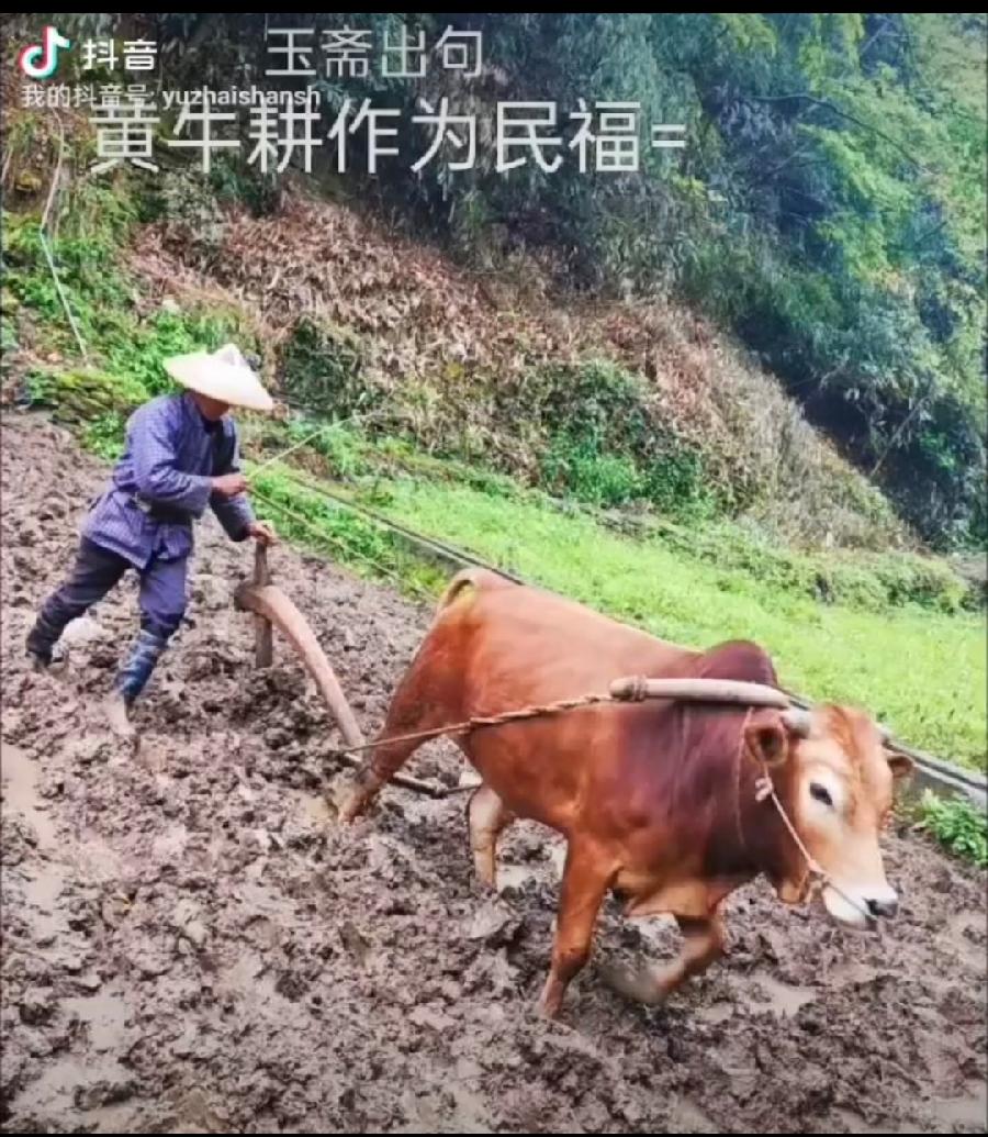【都市头条向幸福出发编辑部】第11626期 云霞群诗联园地 94（总编 刘玉斋）