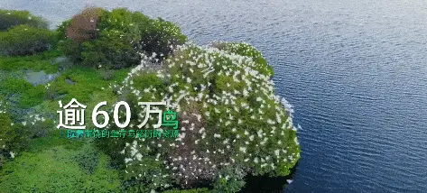 【神都诗社】第090期《鄱阳湖》(图29)