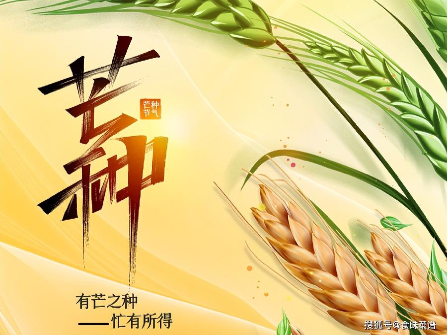 【海外诗译】精品双语朗诵《芒种小诗三首》作者｜郑相豪、英译｜中权、审译&朗诵｜薇薇（图4）