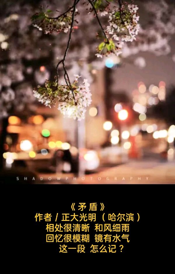 【名家风采】💖 题图微诗一组 - 情缘//作者 / 正大光明 ( 哈尔滨 )//《现代文学》征稿//都市头条(图6)