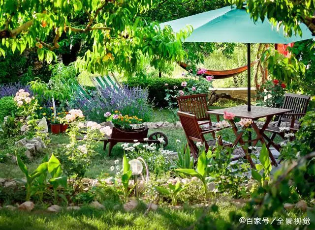 【中华美文推荐（点评）】我爱这多情的小院 文/高建文（图6）