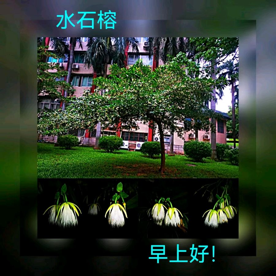 联机全球发布马洪武作品欣赏（图10）