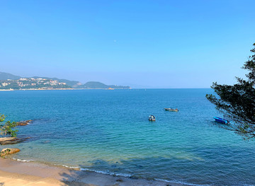 【荣耀中国】七绝·乐在海边苍松（北京）（图4）