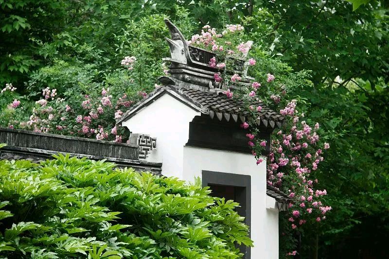 石家庄市藁城区诗词协会同题诗第四十八期《仲夏抒怀》（图9）