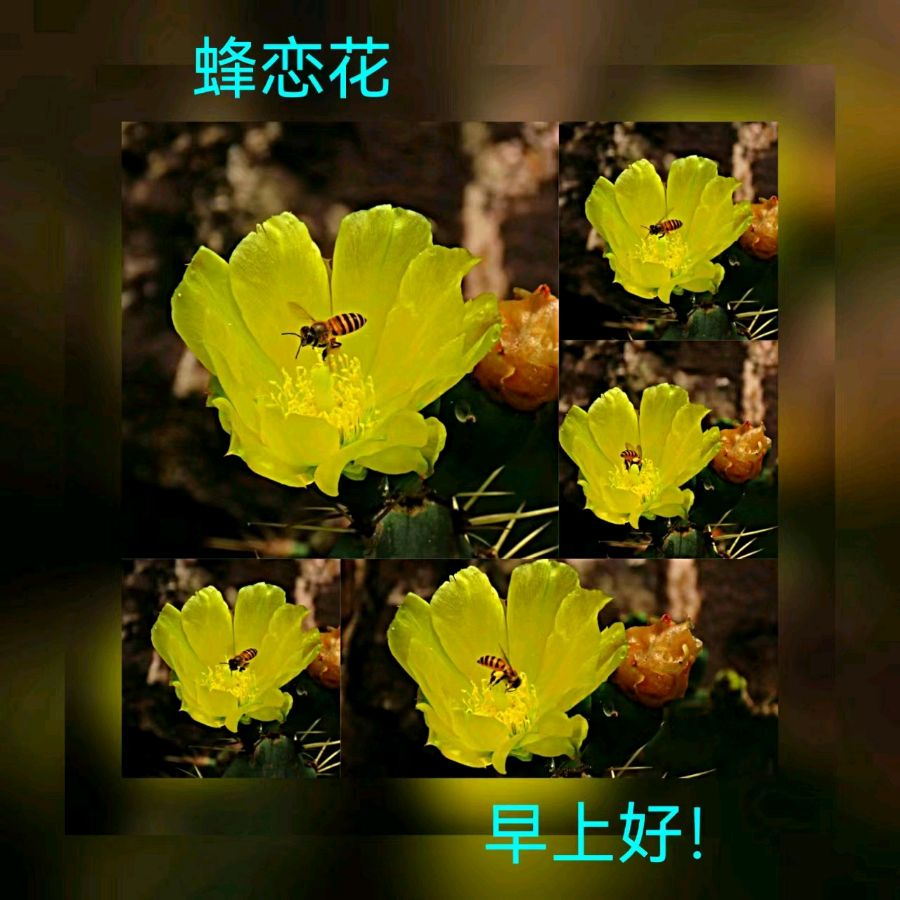 联机全球发布马洪武作品欣赏（图8）