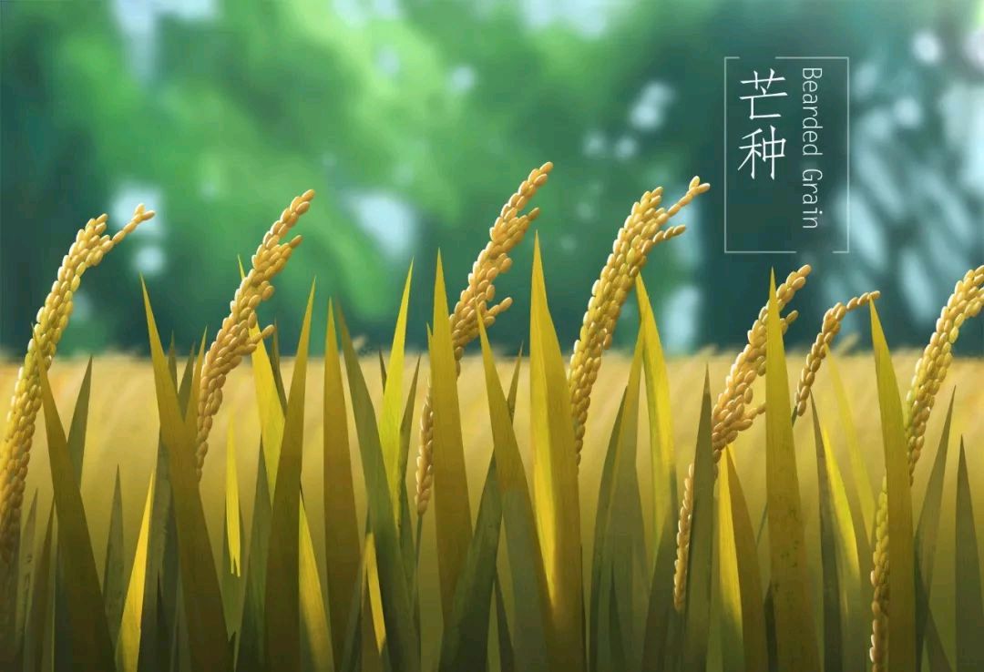 诗钟芒•种（一至七唱）组诗作者/晓言（图4）