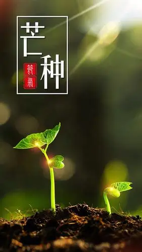 【国风燕赵诗社】顾问、著名青岛诗人王法忠老师诗词专辑与您共享!(图27)
