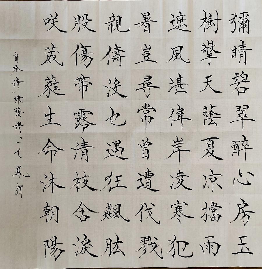 【都市头条向幸福出发编辑部】第11647期 绿荫赞（图2）