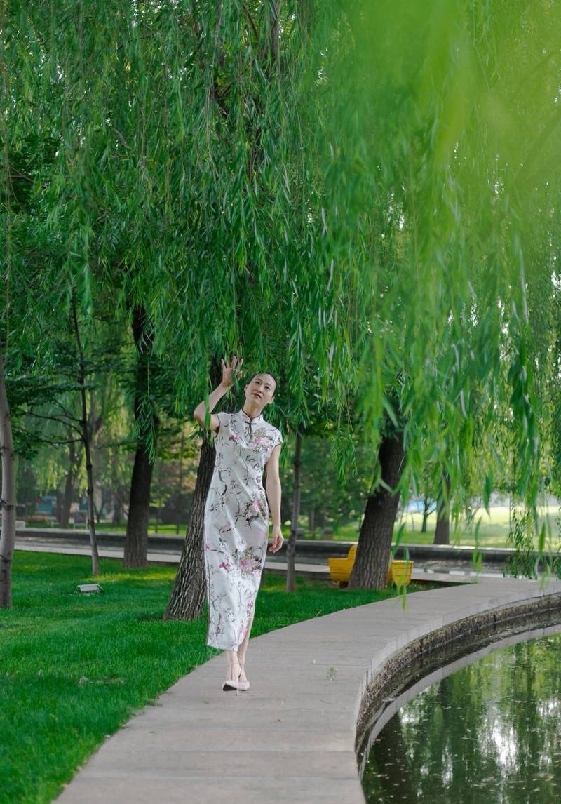 排律-咏柳～诗||杨景儒（图9）