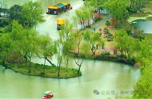 【都市头条向幸福出发编辑部】第11648期 王新华209（图2）