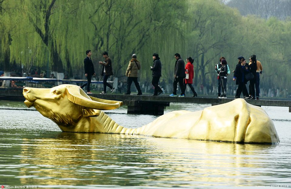 【荣耀中国】山东分社在回家路上文/清起（山东）（图4）