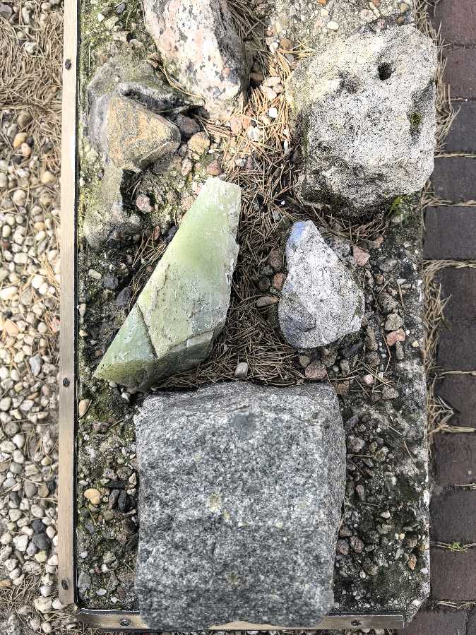 “政治首都”的壮丽景象——海牙半日游（图4）
