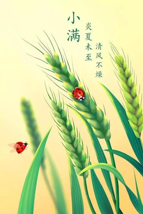 七绝·忆双亲（外三首）作者/天宫玉兔……莲叶之珠文学社（图4）