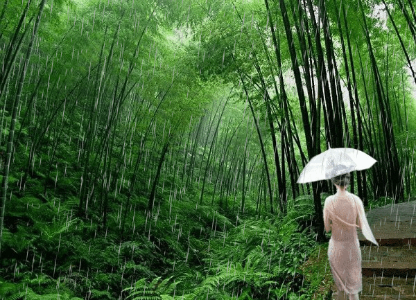 【紫罗兰文学社-蕙兰诗社】都刊第30期 ‖ 离骚浩气扬三曲 楚赋高风起九歌(图11)