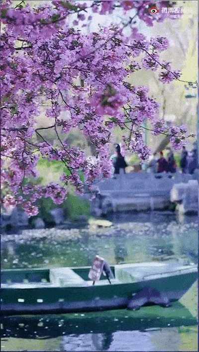 【紫罗兰文学社-蕙兰诗社】都刊第30期 ‖ 离骚浩气扬三曲 楚赋高风起九歌(图13)