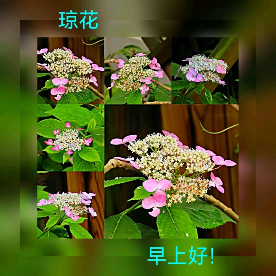 联机全球发布马洪武作品欣赏（图6）