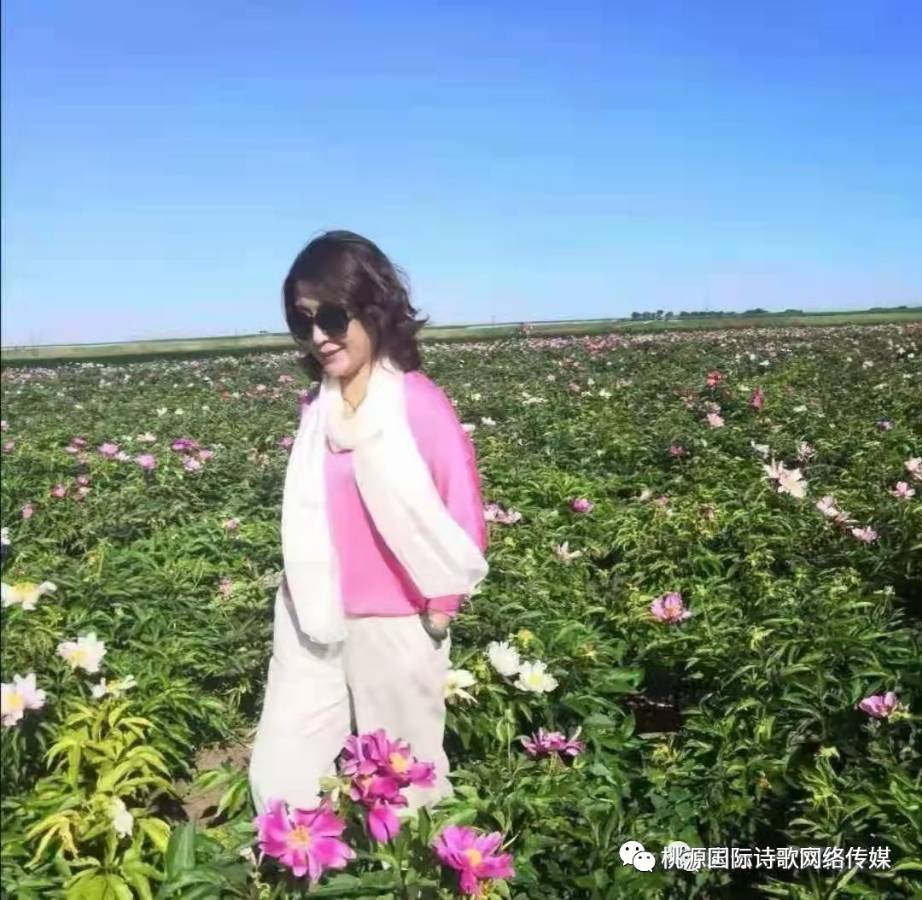 《似水流年》作者:诗意年华【主播:玥儿】【桃源国际诗歌文化传媒】用声音传递温暖以诵读致敬人生♬（图14）