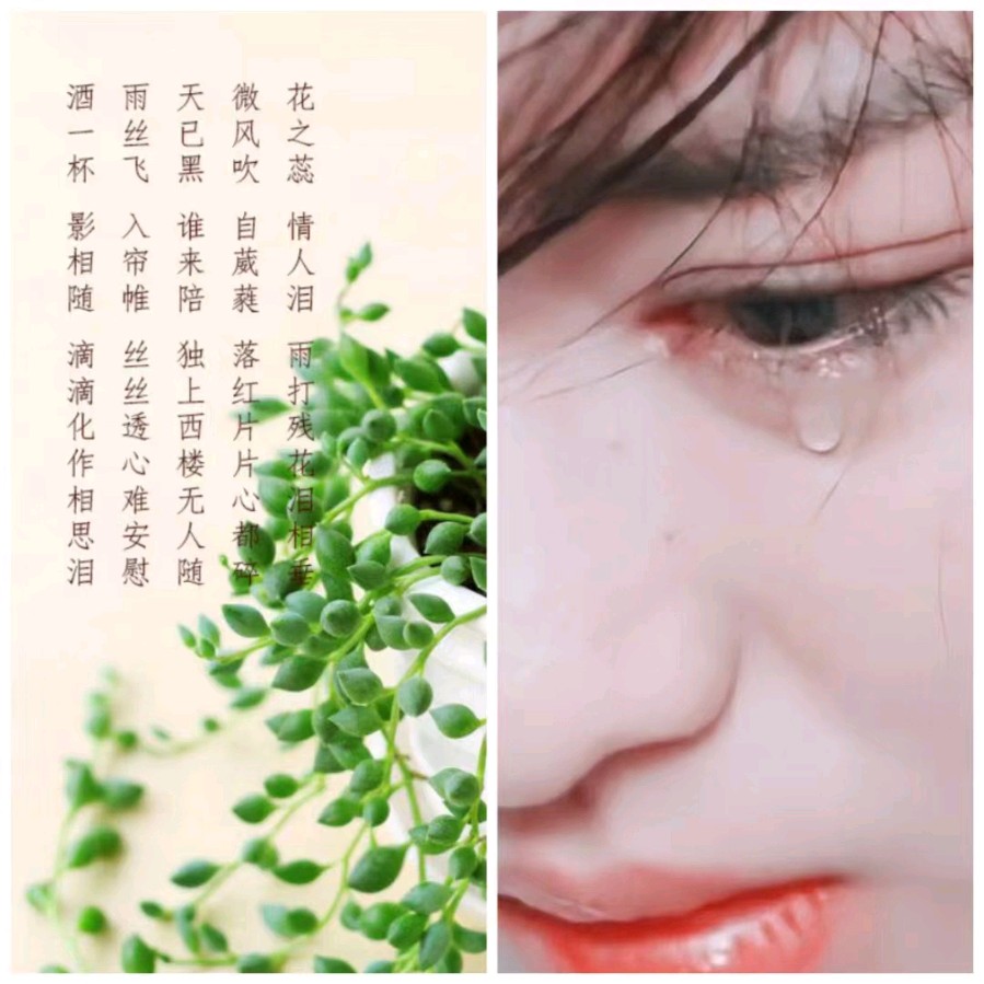 韩庚的《情人泪》