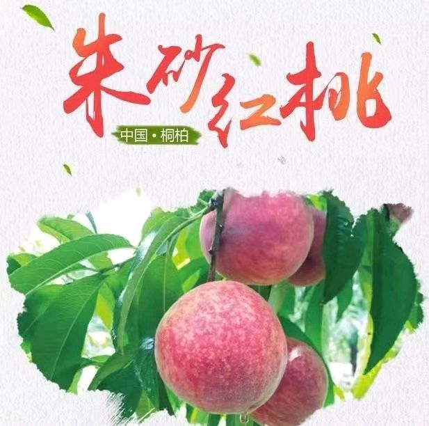 韩庚的《桐柏朱砂红桃》
