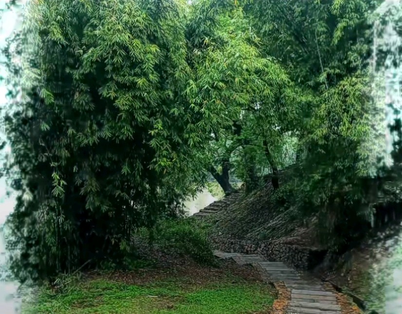 作者：邢春（春子）《下半场》10445期~新京都文艺（图2）