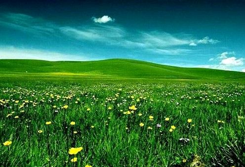 《游中都草原》文/常曙光（图3）