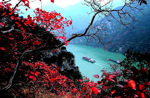 【明心文学】明心/一个人独处时 主播/舒心快乐（图3）
