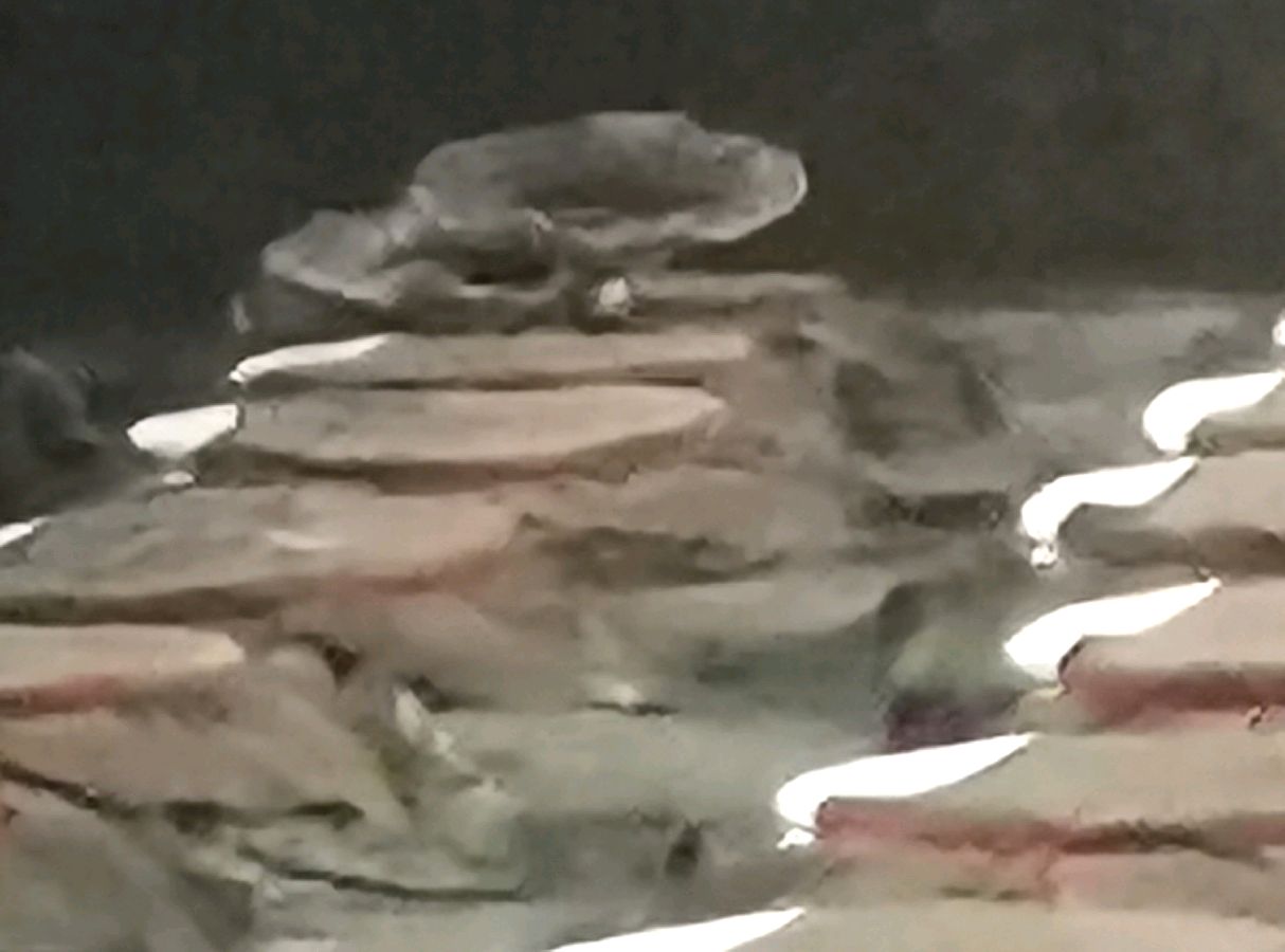 神蜉酒保健开心 搅热了桂林一隅∥中国桂林都市漓江诗书画社微刊总（第171期）（图7）